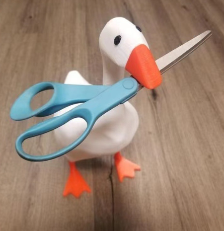 Chic Duck Magnet Key Organizer